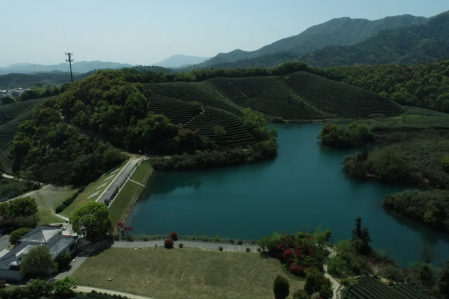 建設智慧生態(tài)茶園，托普云農為西湖龍井茶“保駕護航”