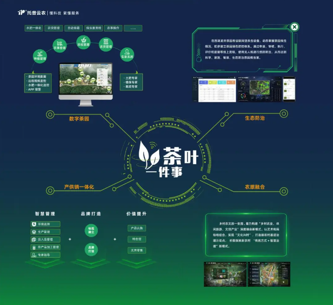 “數(shù)字”賦能茶產(chǎn)業(yè)，“茶葉一件事”續(xù)寫中國茶發(fā)展新模式